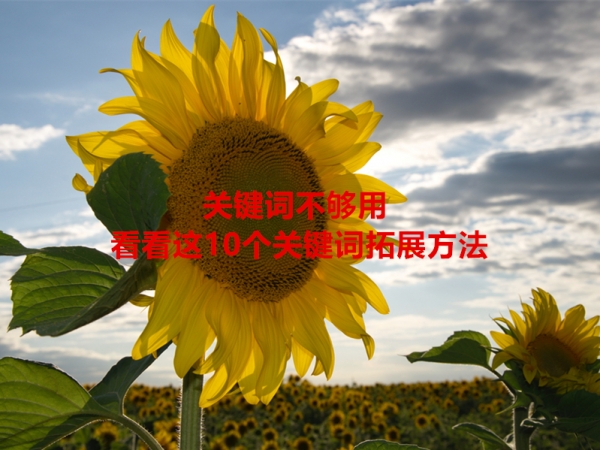 關鍵詞不夠用，看看這10個關鍵詞拓展方法！